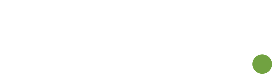 NOESIS — Intelligence Value